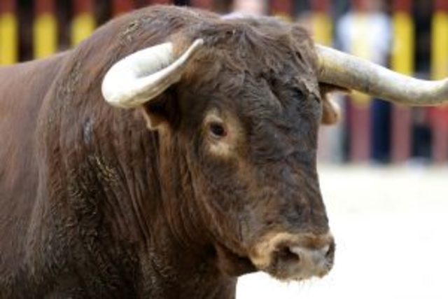 TODO ESTO ES CONSIDERADO ARTE