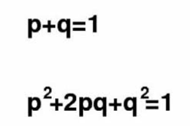 Genetica y Matematica