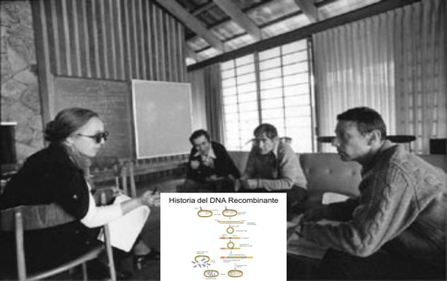 D. Jackson, R. Symons, P. Berg