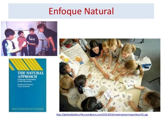 Enfoque Natural