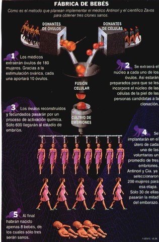 Primeros experimentos de ingeniería genética en los que genes de una especie se introducen en organismos de otra especie y funcionan correctamente.