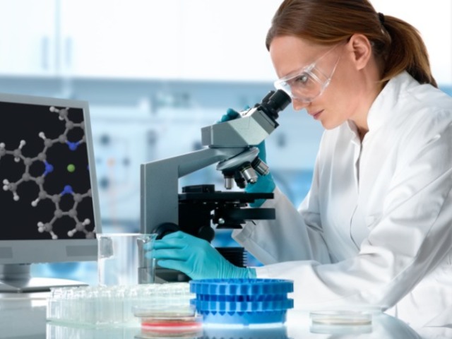 National Excellence: A Case For Developing America's Talent