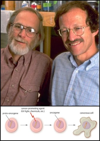 J. Michael Bishop y  Harold E. Varmus