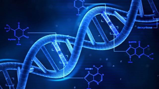 Sintesis de ADN artificial inactivo.