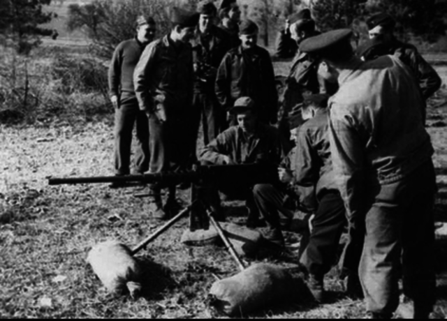 Increased Interest in the Systems Approach