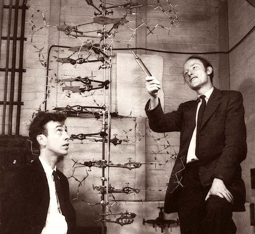 James D. Watson y Francis Crick