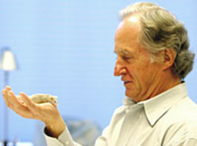 Capecchi, Evans , Smithies