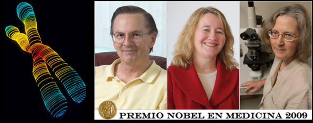 Blackburn, Greider y Szostak