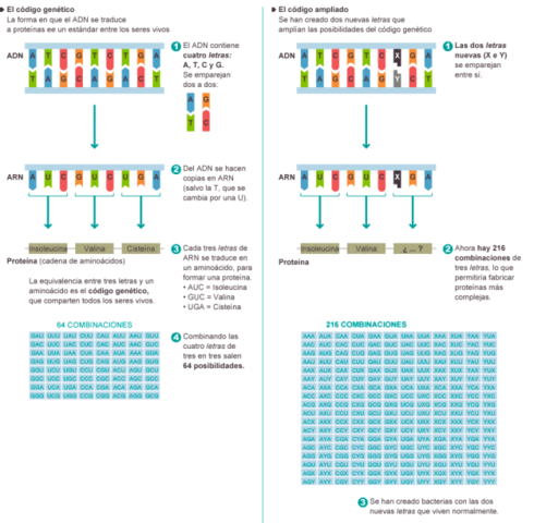 Científicos del instituto de investigación Scripp (EE.UU)