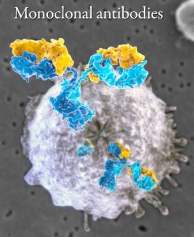 Descubrimientos de anticuerpos.