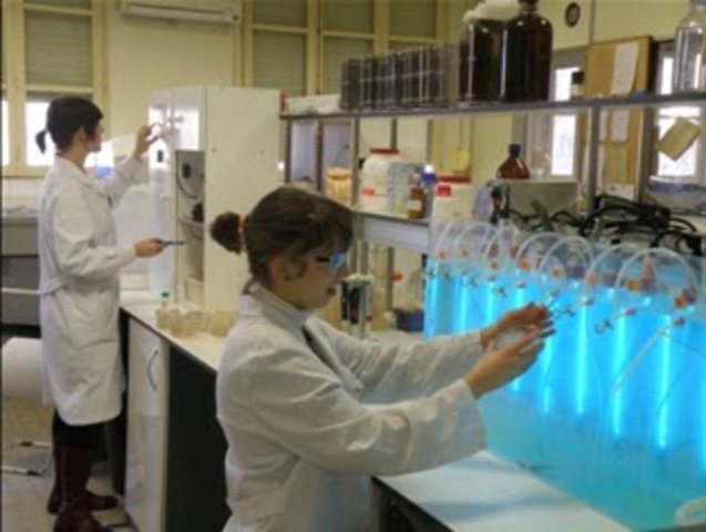 Escuela Superior de Química e Industrias Extractivas