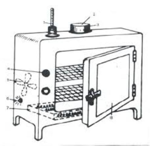 Louis Pasteur introduce la esterilización por calor del vino y la leche.