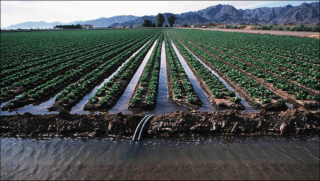 6. The Creation Of Irrigation