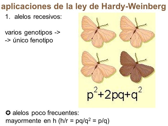 Ley del equilibrio Hardy-Weinberg