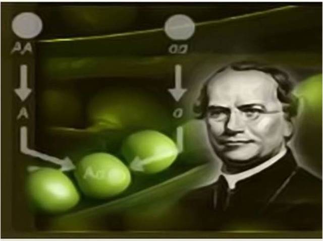 Experimentos sobre hibridación de plantas