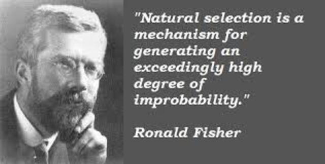 The Correlation Between Relatives on the Supposition of Mendelian Inheritance