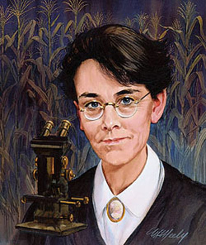 Descubrimiento de los transposones en el maíz.