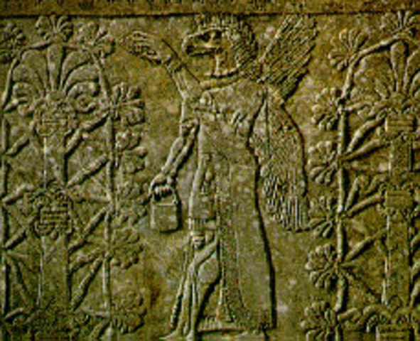 polinización de las palmeras.