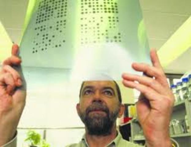 Se inventa la tecnica de PCR