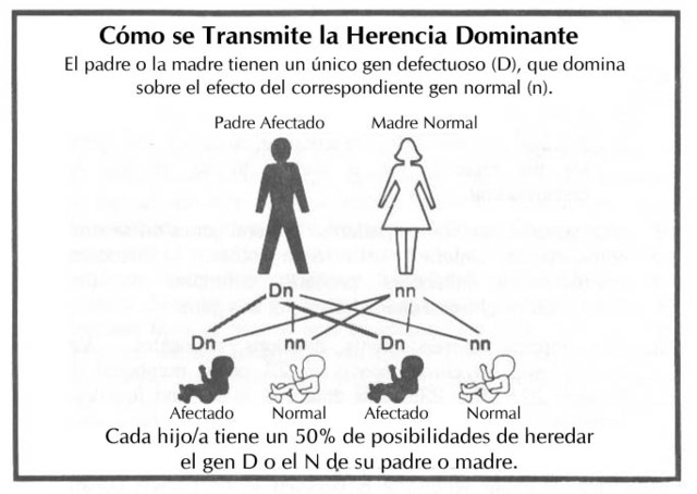 teoría de la formación del embrio