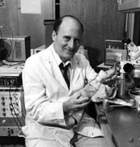 Mapa genético a nivel molecular