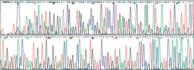 Secuenciación del ADN