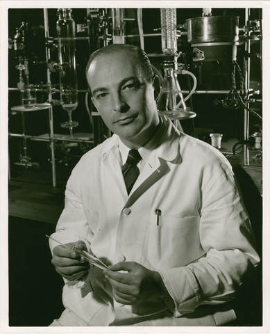 Se aisla la DNA polimerasa