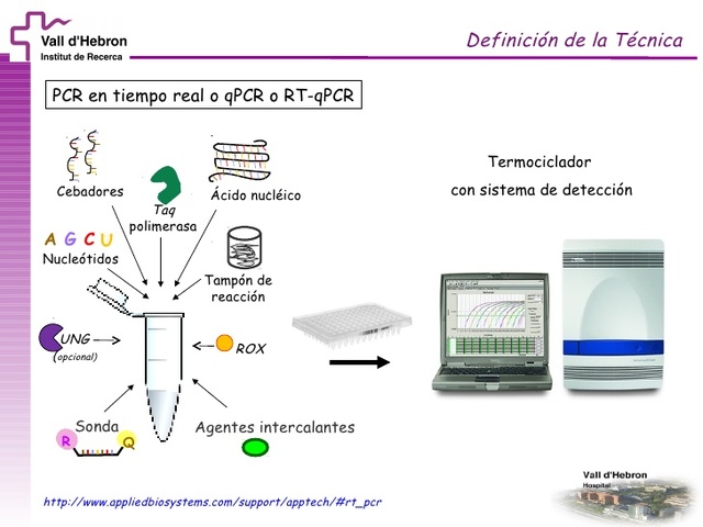Técnica de PCR
