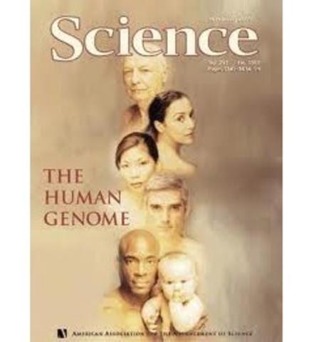 Primeras secuencias del genoma humano por parte del Proyecto Genoma Humano
