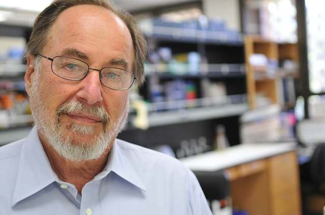 Forma de DNA de los virus tumorales de RNA