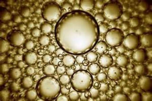 Arvid Wretlind y Schuberth