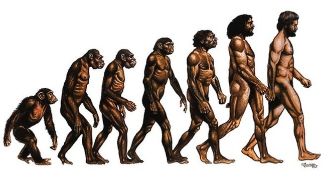 1. The Modern Evolution Of Humans