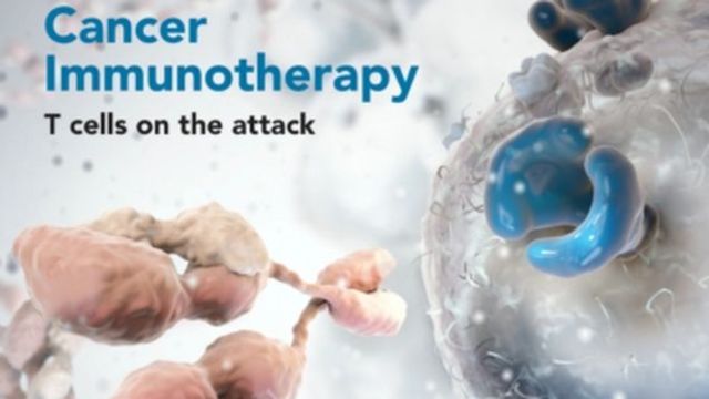 Batalla contra el Cáncer