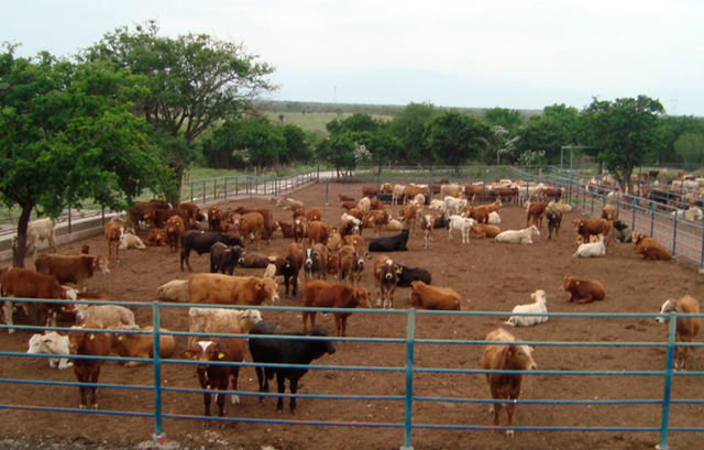 Roma 500 a 200 a. C.