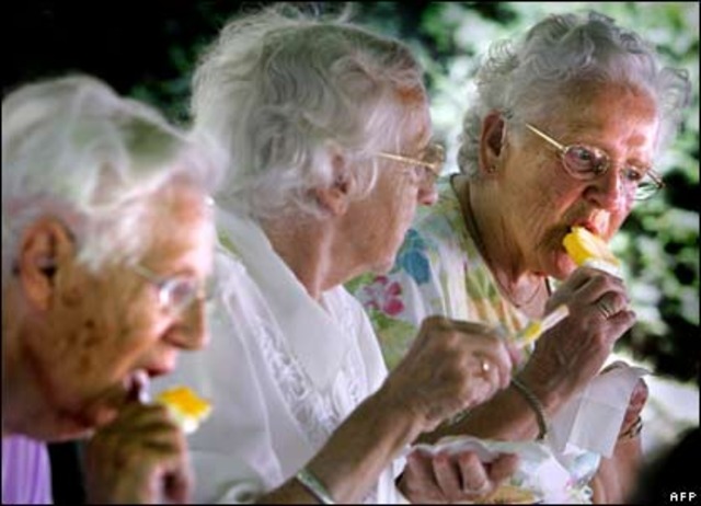 Elderly Housing at Laurel Terrace