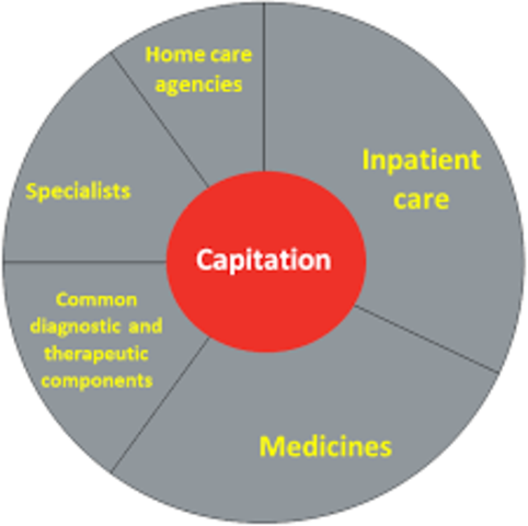 Capitation Payments Become More Common