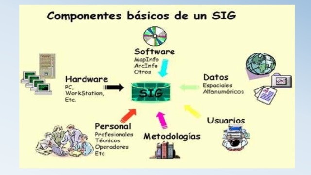 Management Information System