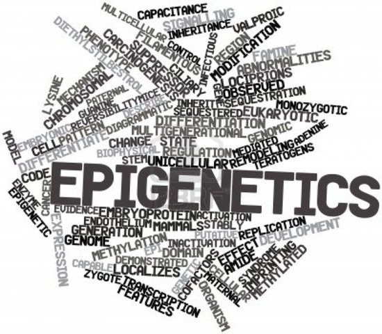 Aporte epigenético.