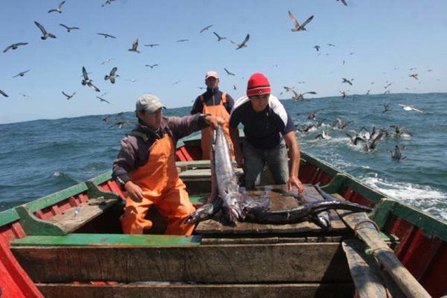 Surge la primera Ley Reglamentaria de Pesca a Nivel Federal