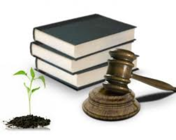 Incorporación a la constitución política el principio de la consevación de recursos naturales