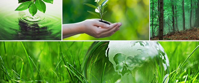 Primeros Reglamentos relativos a la prevención y control de la contaminación