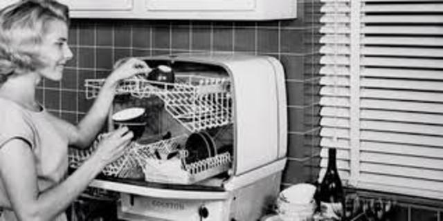 Domestic Dishwasher