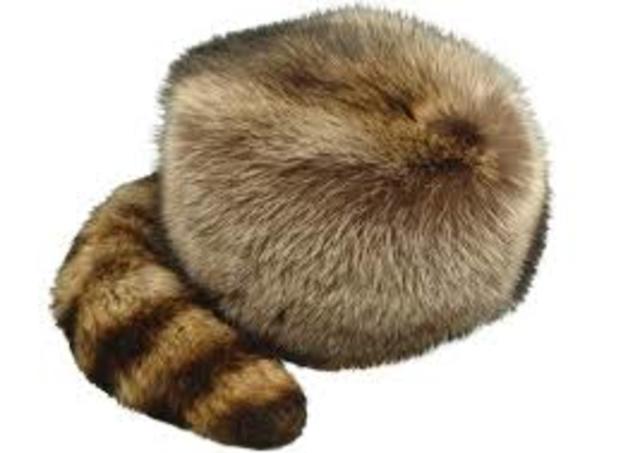 Seigneurial Regime Part 2