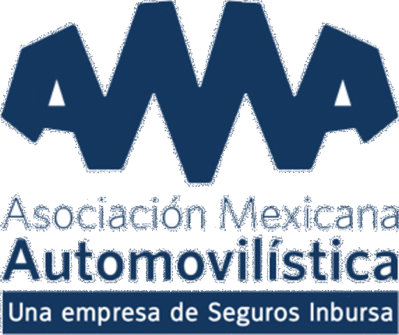 Se Constituye la AMA