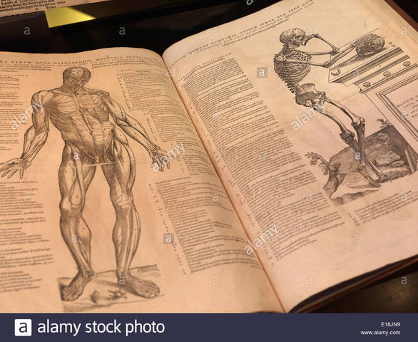 First known Anatomy Book