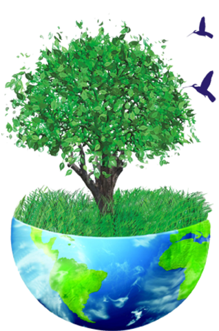 Se expide la Ley General de Equilibrio Ecológico y Protección al Ambiente (LGEEPA).