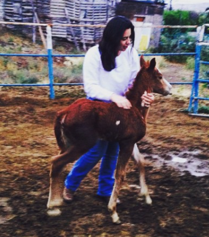 Nacimiento de Sorprise