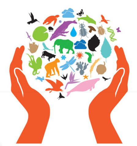 CONVENIO SOBRE LA DIVERSIDAD BIOLOGICA