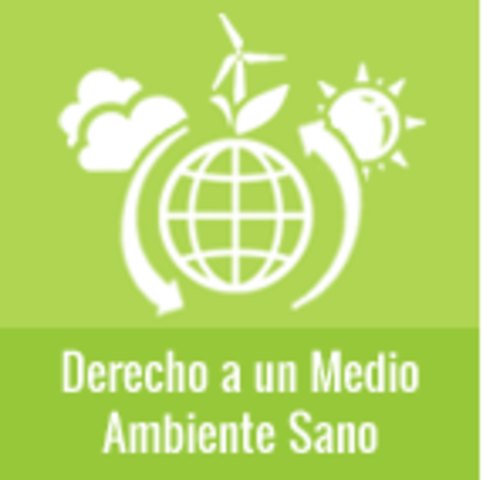 Derecho a un Medio Ambiente Adecuado