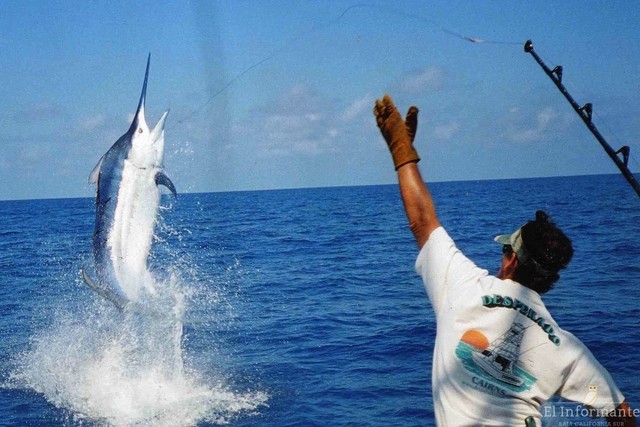 1° LEY DE PESCA FEDERAL